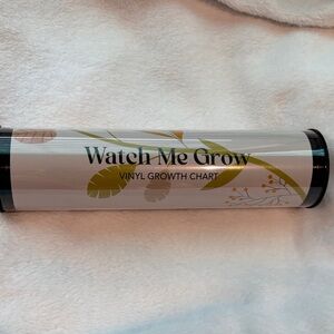 Vinyl Growth Chart - Green and Orange